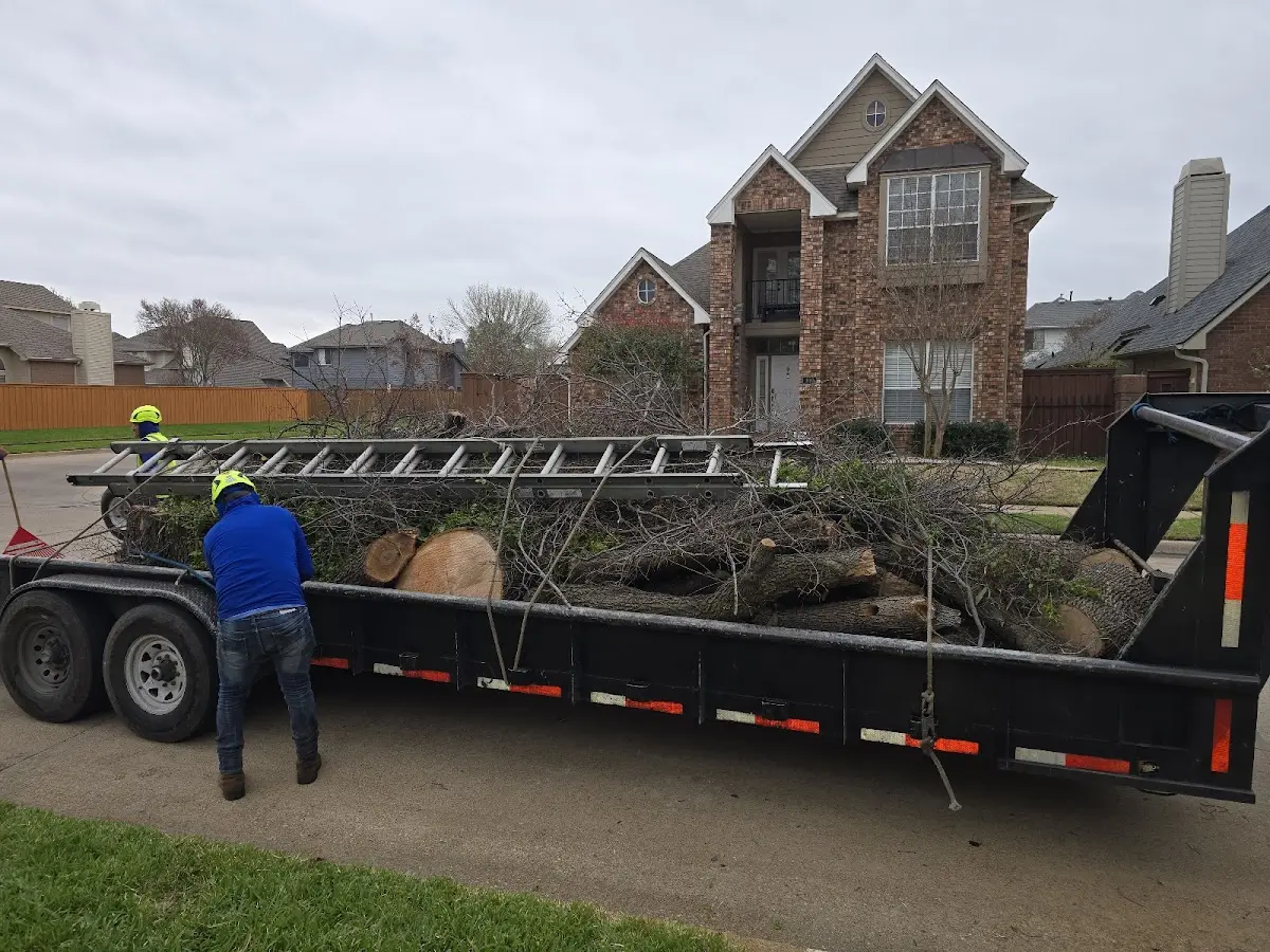 Expert Tree Removal with proper safety equipment in Donahue